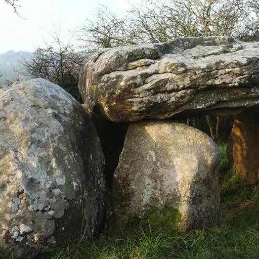 Dolmens de Kerran St Philibert - Morbihan Bretagne Sud (1)