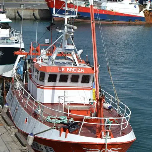 Port de pêche de Keroman