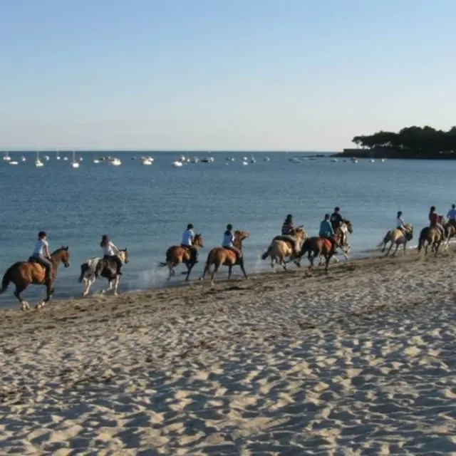 Centre-Equestre-de-Kerblanquet-Sarzeau-Presqu'île-de-Rhuys-Golfe-du-Morbihan-Bretagne sud