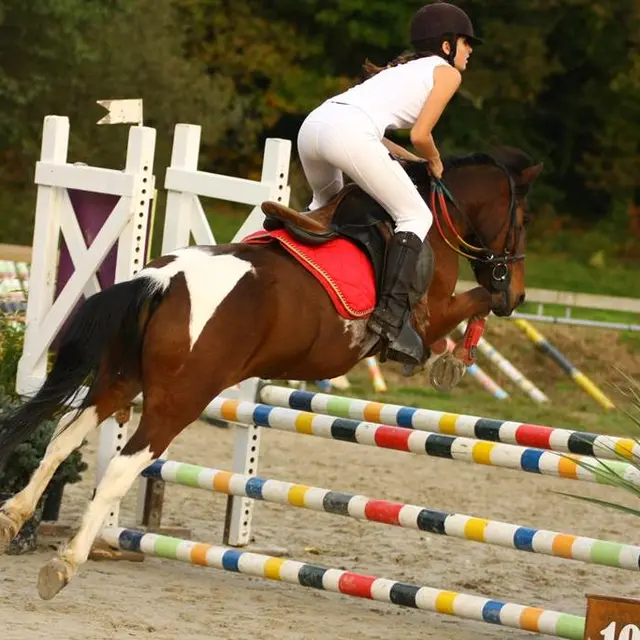 centre-equestre-queven-Lorient-Groix-Morbihan-Bretagne-Sud