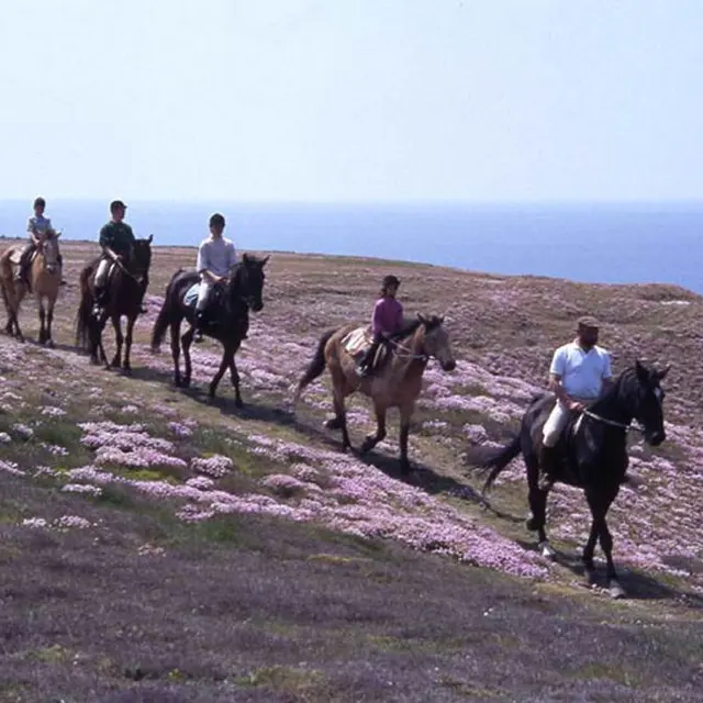 LSPBRE0560000380_1