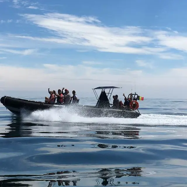Escapade Marine