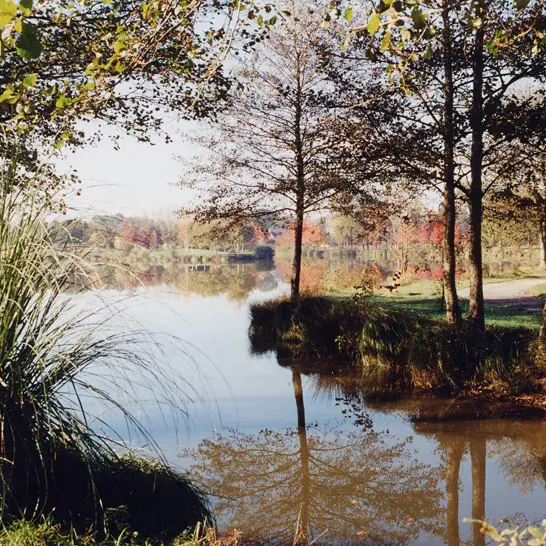 etang-2-OT-La-Gacilly