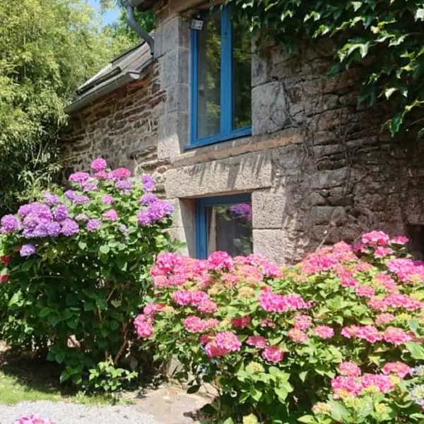 Studio - Les Floralis - La Grée St Laurent - Brocéliande - Bretagne