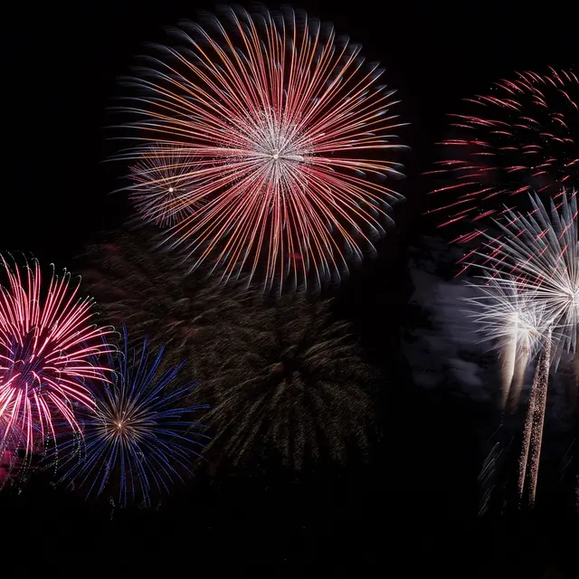 fireworks-879461_1280©Nidan_Pixabay