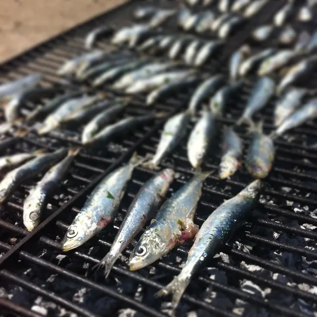 fish