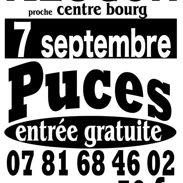 Foires aux puces