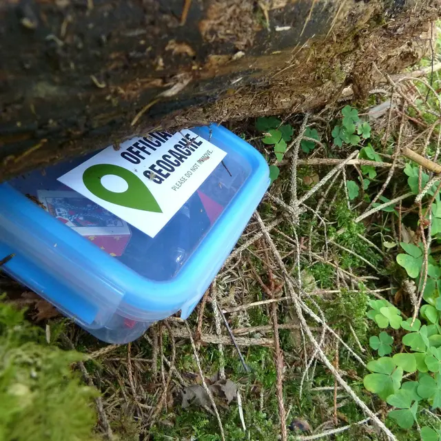 geocache-la-gacilly-1