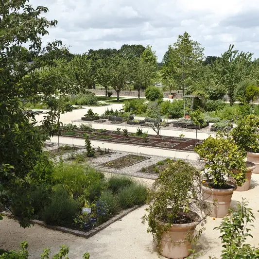 jardin botanique la gacilly-morbihan-bretagne-sud.jpg