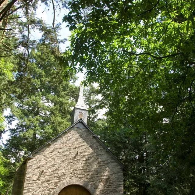 Chapelle Forêt Saint-Jugon - La Gacilly - Morbihan Bretagne Sud