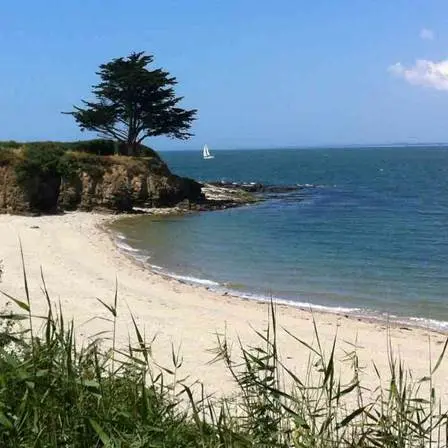 Plage du Halguen