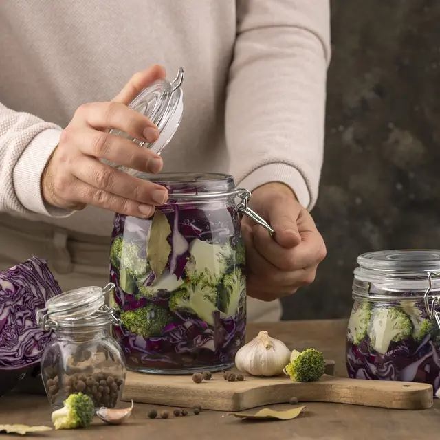 lacto fermentation