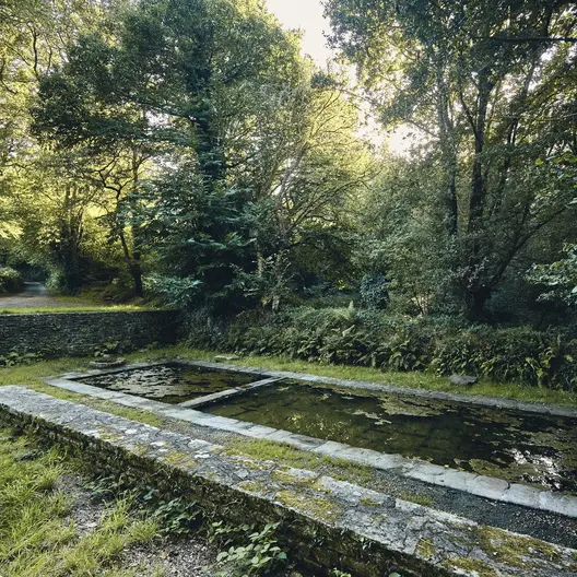 lavoir-campagne-foret-pluvigner_792x528