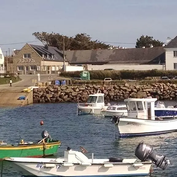 lechat odette - st pierre quiberon, morbihan, bretagne sud