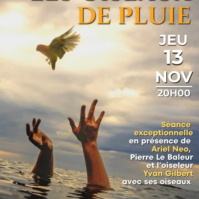 Les oiseaux de Pluie