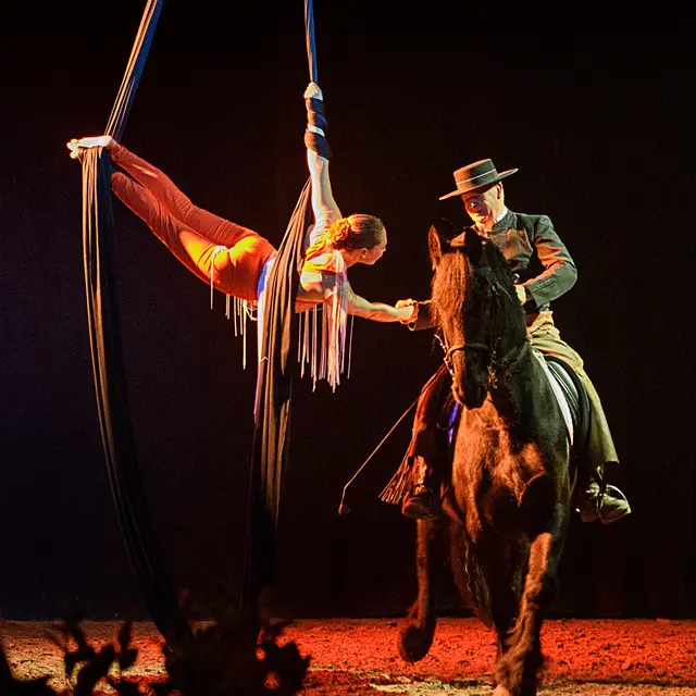 Les chevaux dansent à la bodega