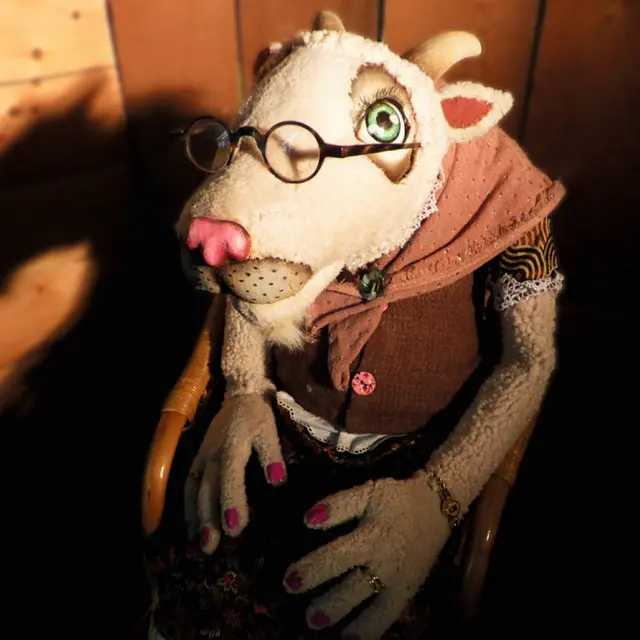 Les histoire de poches de Molly Biquette