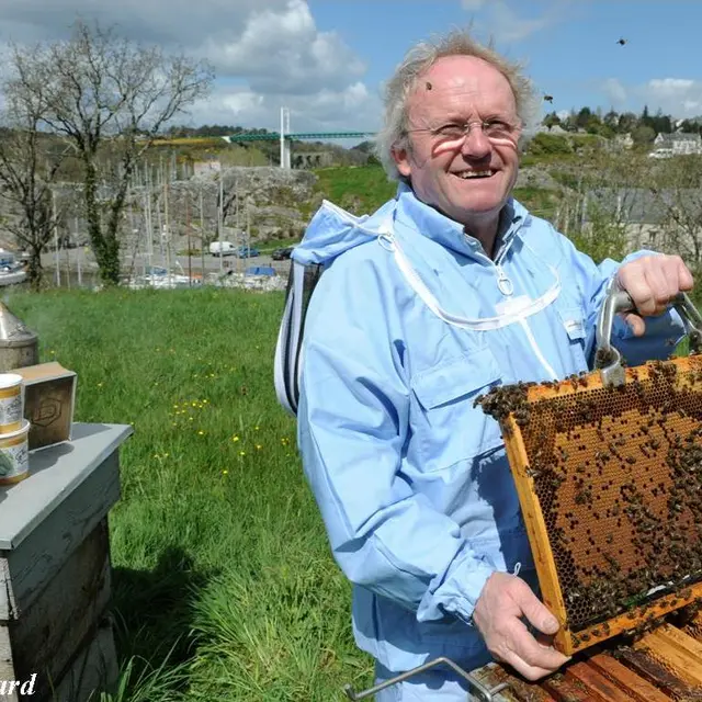 Remy Lucas-Maison de l'abeille-La Roche-Bernard