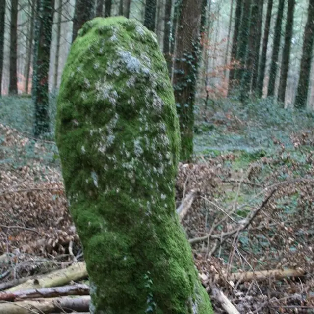 Menhir Men Bihan Camors Morbihan Bretagne-sud