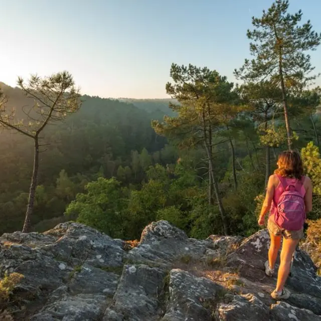 morbihan-randonnee-foret-marais-saint-dolay