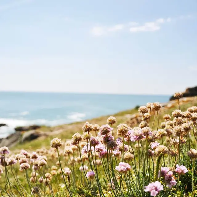 Quiberon