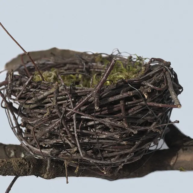 nid pour oiseaux