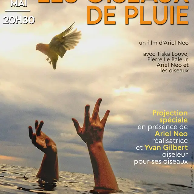 oiseauxdepluie02-scaled