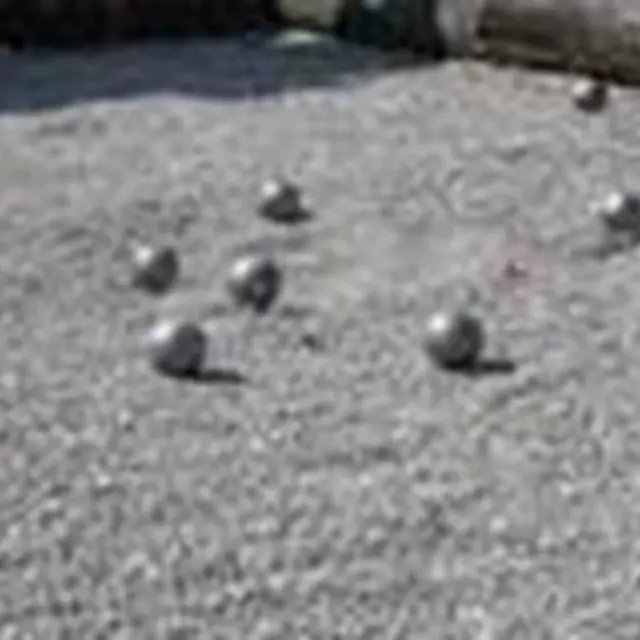 PétanqueQuiberon