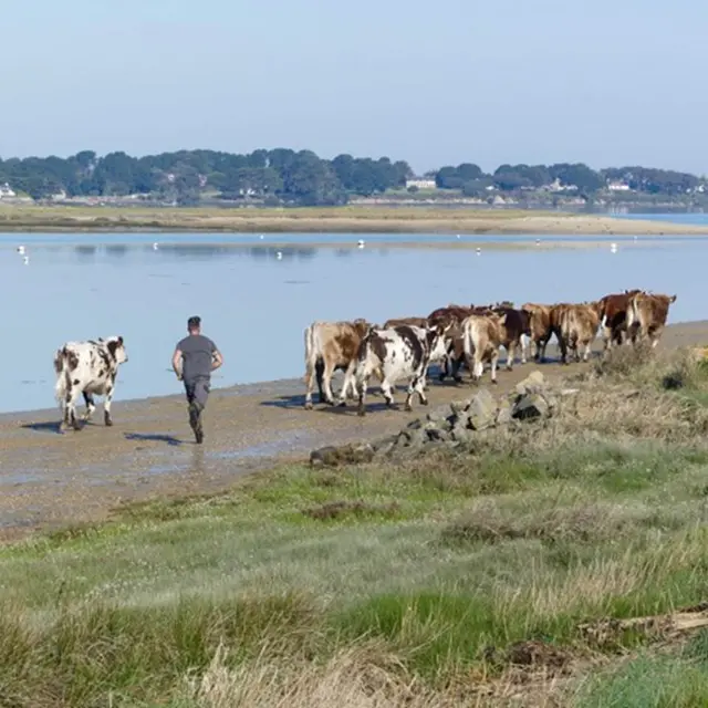 La Ferme de Saint Pierre