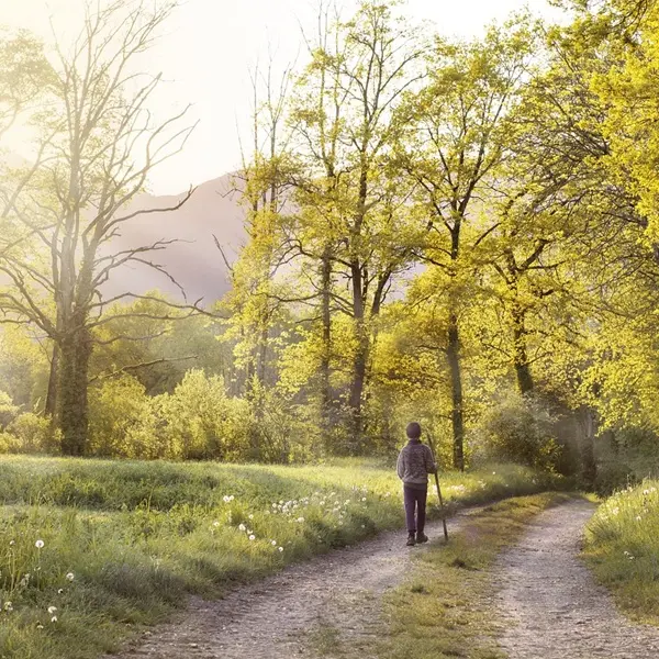 Marche gourmande - Guillac - Destination Brocéliande