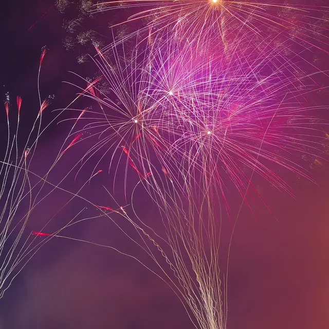 pexels-fireworks-1285265_1920©Pixabay