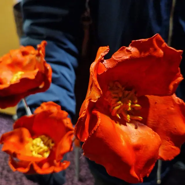 photo 1 fleurs