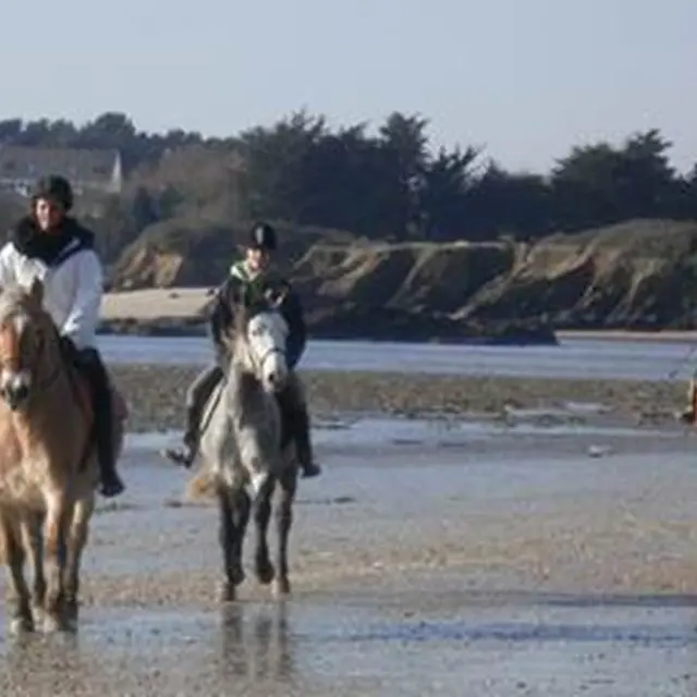 Photo plage - Haras du Cosquer