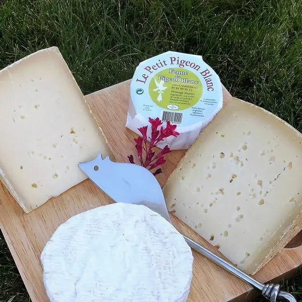 ferme du pigeon blanc - producteur - fromage - éleveur - Campénéac - brocéliande