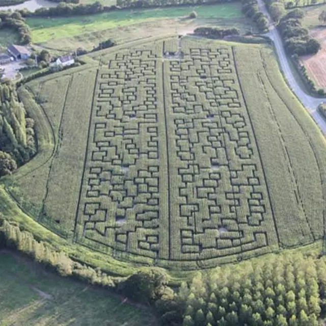 Labyrinthe-Géant-de-Maïs-Sarzeau-Presqu'île-de-Rhuys-Golfe-du-Morbihan-Bretagne sud