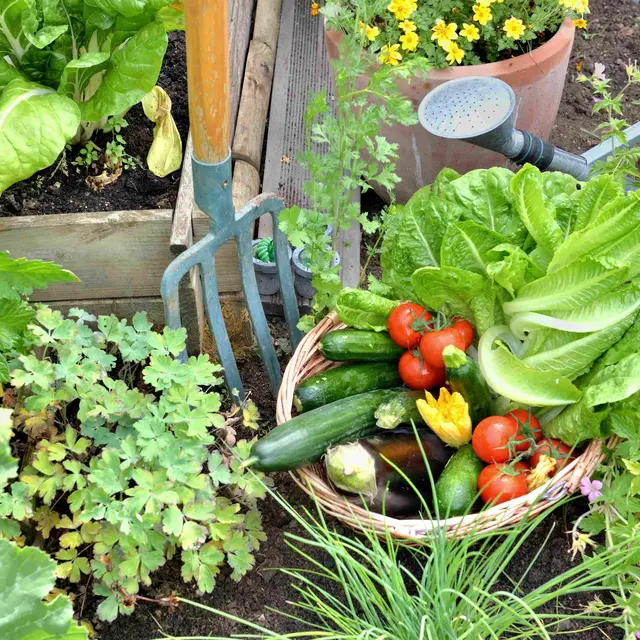 potager permaculture