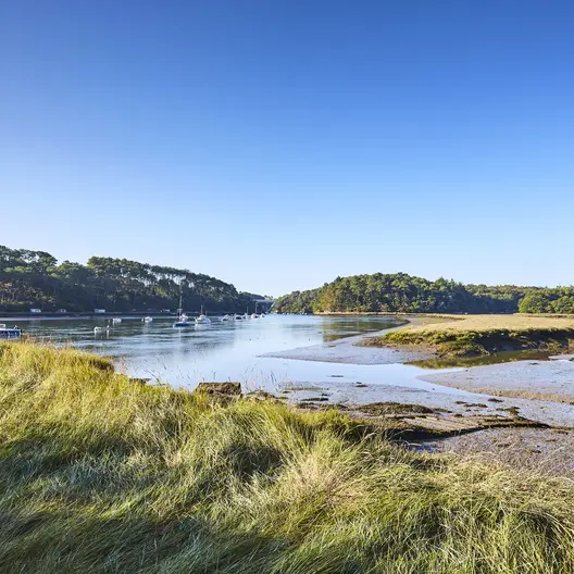 riviere-bono-pluneret_792x528