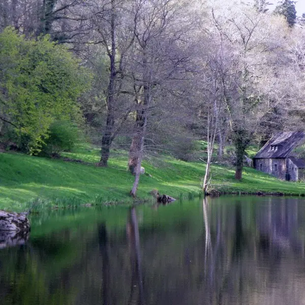 sentier-des-landes-val-jouin-lizio