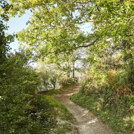 sentier-sainte-avoye-pluneret_792x528