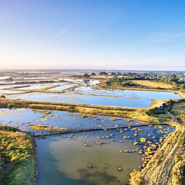 Marais de Séné - a lamoureux