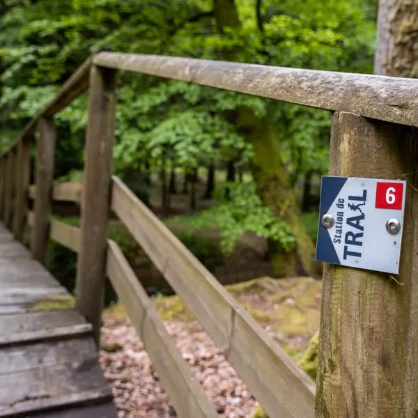 Trail en massif d'Ecouves