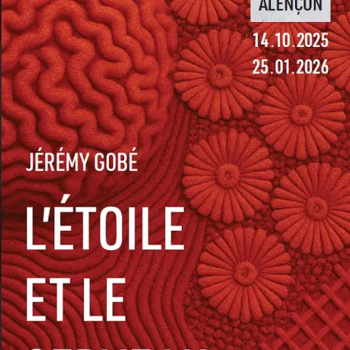 Capture d’écran 2025-10-31 173635