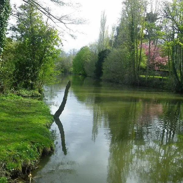 Fuie des Vignes©Biotope