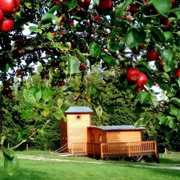 Le chalet Tchanqué d'Ecouves