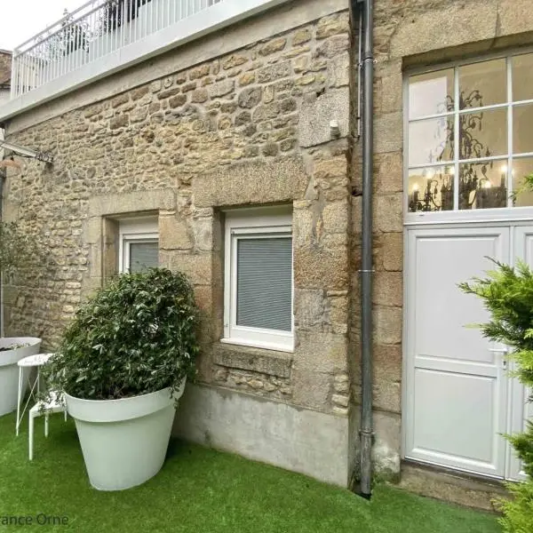 City Break du Jeudi - Jungle - 2