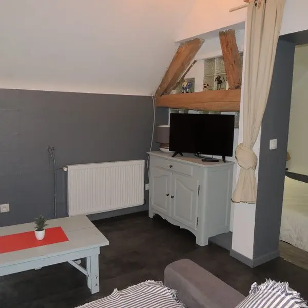 Meuble-Hirondelles-St-Denis-sur-Sarthon