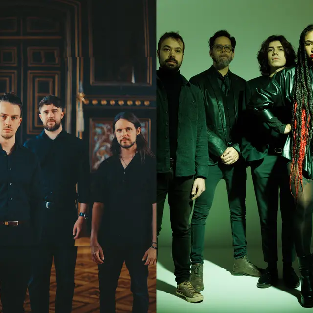 Vestige + No Terror in the Bang_^p