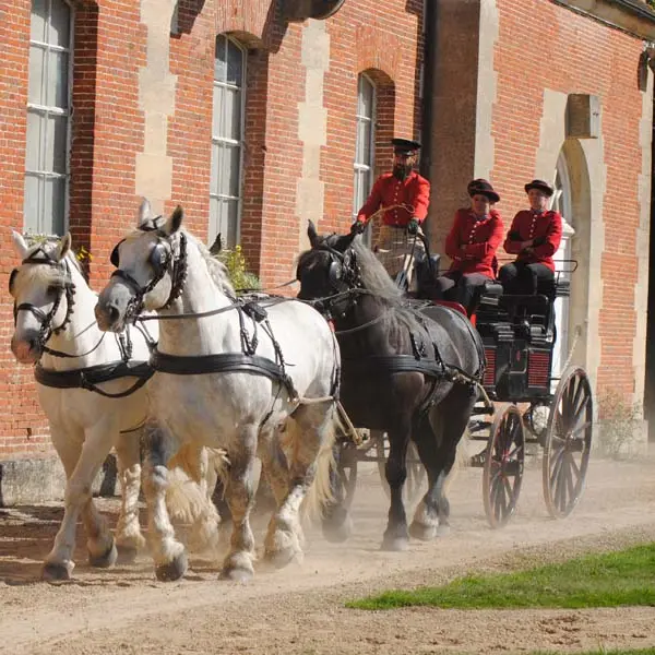 Haras national du Pin - Le Pin au Haras