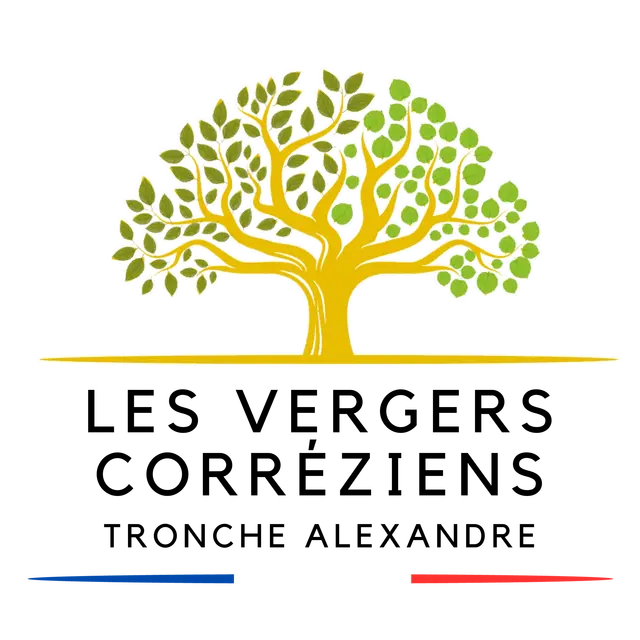 Grey Fast Food Truck Round Logo (1280 × 1280 px) - 47