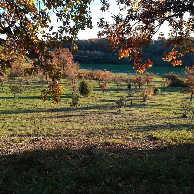 481053570 1468639197799572 7913190357922355629 n